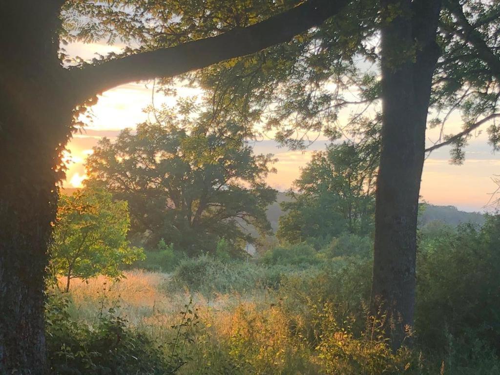 Domaine La Faix, Gite La Forestiere Saint-Plaisir Kültér fotó