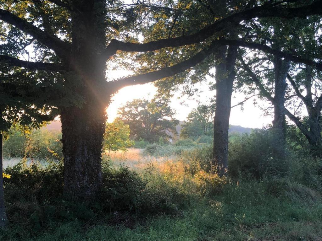 Domaine La Faix, Gite La Forestiere Saint-Plaisir Kültér fotó