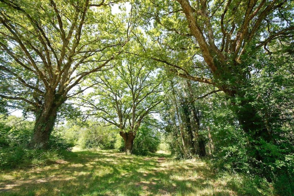 Domaine La Faix, Gite La Forestiere Saint-Plaisir Kültér fotó
